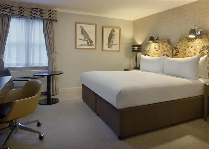 Hotel Doubletree By Hilton